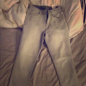 Ab pants grey color